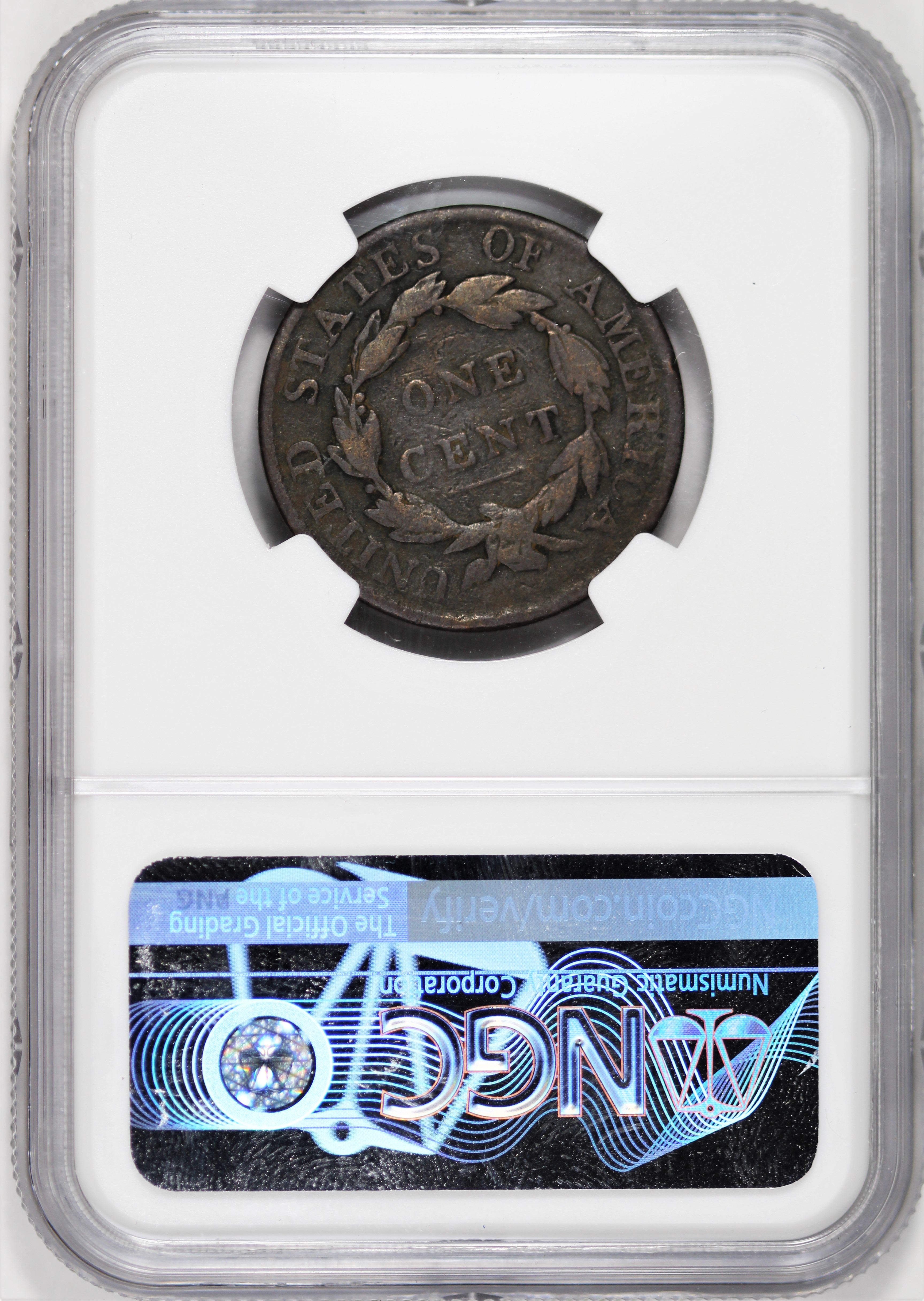 NGC VG Details(Environmental Damage) 1819 Large Cent -