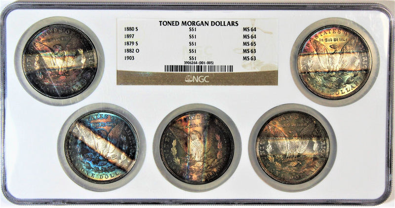 NGC 5 Piece Morgan Silver Dollar Tab Toned - Housed In A Multi Holder - WOW!
